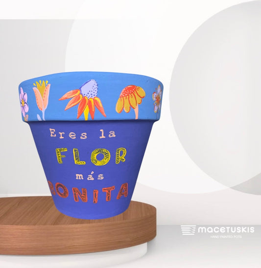Flor mas Bonita pot