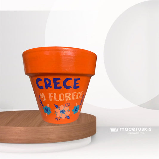 Crece y florece pot