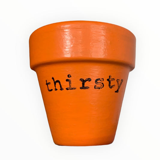 Thirsty pot